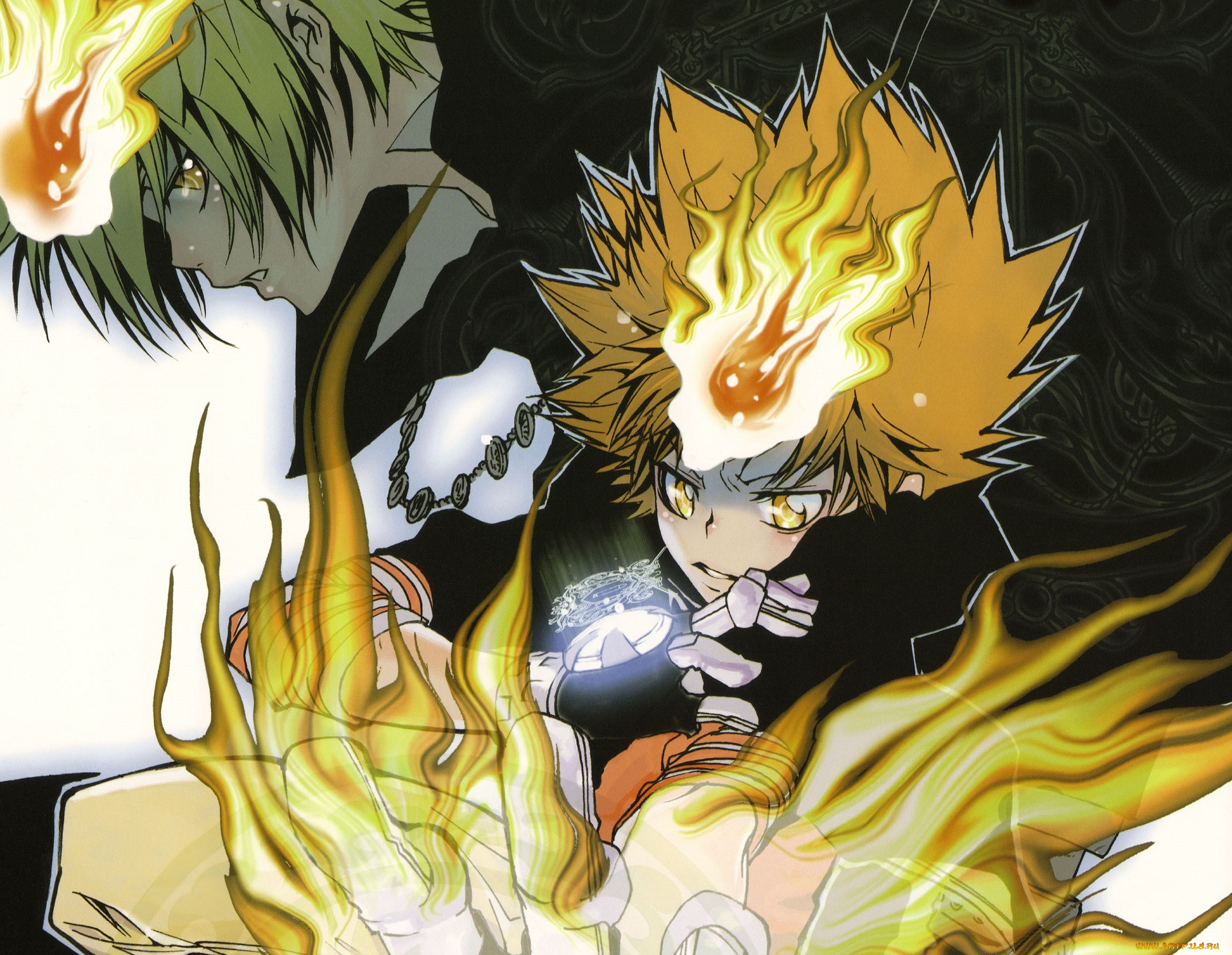 , katekyo hitman reborn, 